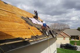 Best Storm Damage Roof Repair  in Warren, IL